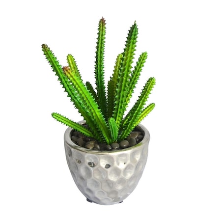 Vaser Designs 4.72 in. PE Succulent Plant, Green VA3002407